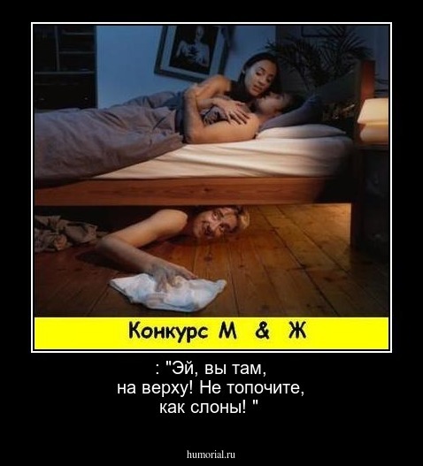 : "Эй, вы там, на верху! Не топочите, как слоны! "