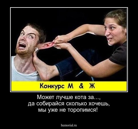 Может лучше кота за..., да собирайся сколько хочешь, мы уже не торопимся!