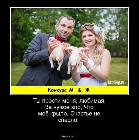 Ты прости меня, любимая,
За чужое зло,
Что моё крыло,
Счастье не спасло.