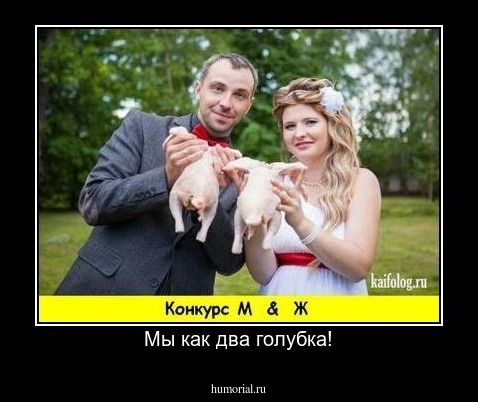 Мы как два голубка!
