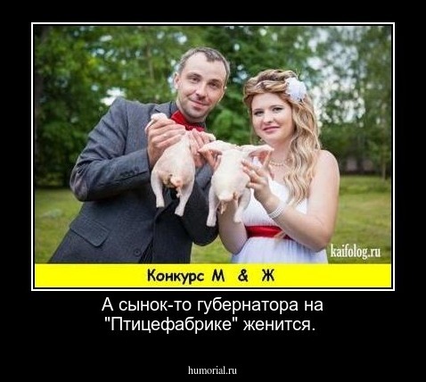 А сынок-то губернатора на "Птицефабрике" женится.