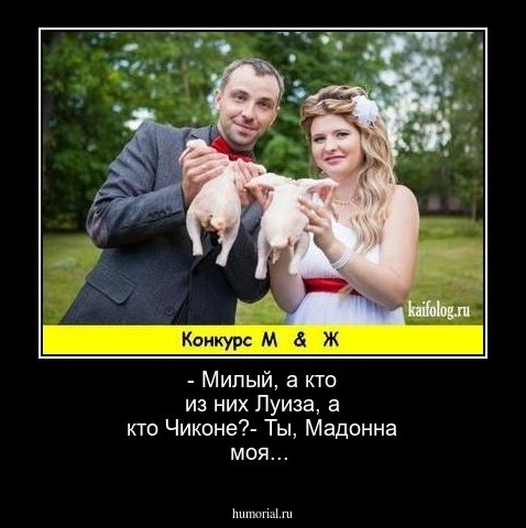 - Милый, а кто из них Луиза, а кто Чиконе?- Ты, Мадонна моя...
