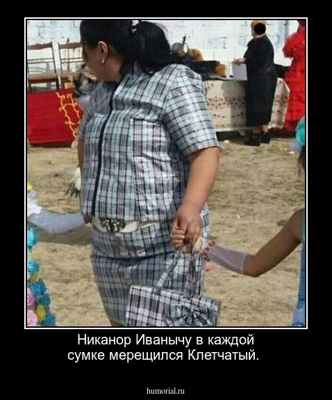 Никанор Иванычу  в каждой сумке мерещился Клетчатый.