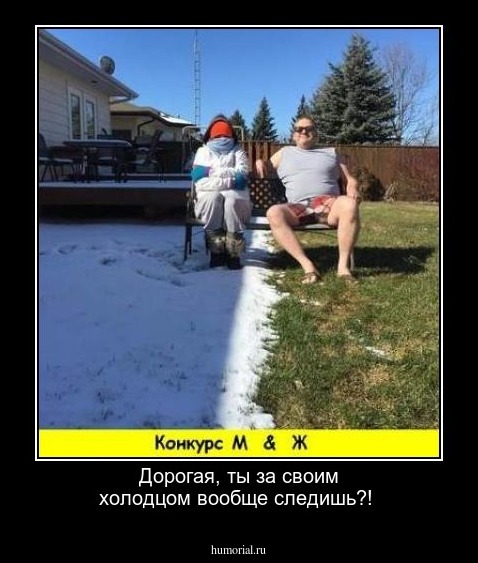 Дорогая, ты за своим холодцом вообще следишь?!