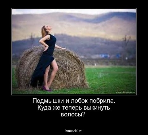 Подмышки и лобок побрила. Куда же теперь выкинуть волосы?