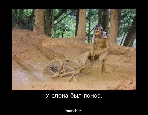 У слона был понос.