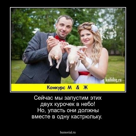 Сейчас мы запустим этих двух курочек в небо!
Но, упасть они должны вместе в одну кастрюльку.