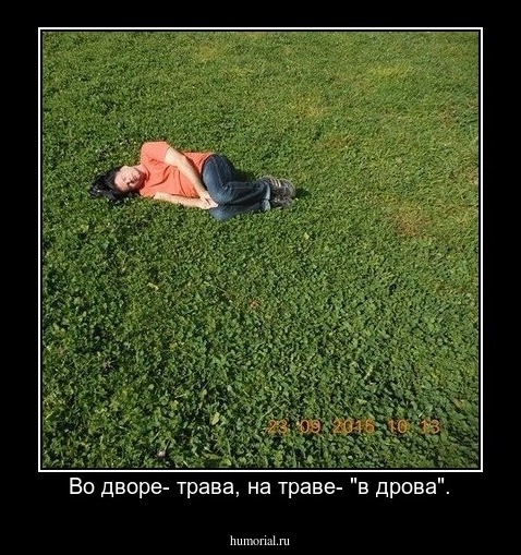 Во дворе- трава, на траве- "в дрова".