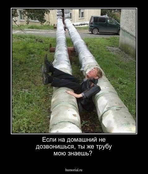 Если на домашний не дозвонишься, ты же трубу мою знаешь?
