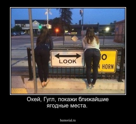 Окей, Гугл, покажи ближайшие ягодные места.