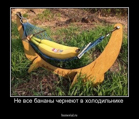 Не все бананы чернеют в холодильнике 