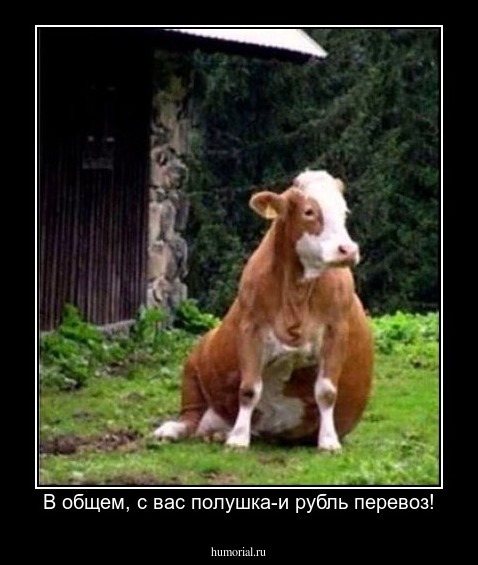 В общем, с вас полушка-и рубль перевоз!