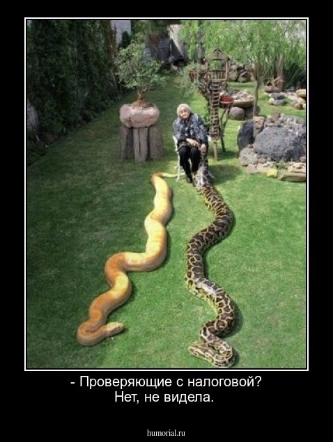 - Проверяющие с налоговой? Нет, не видела.
