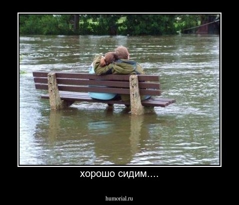 хорошо сидим....