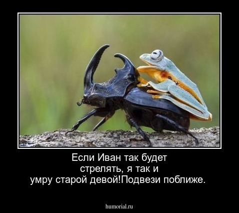 Если Иван так будет стрелять, я так и умру старой девой!Подвези поближе.