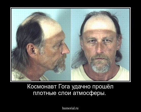  Космонавт Гога удачно прошёл плотные слои атмосферы.