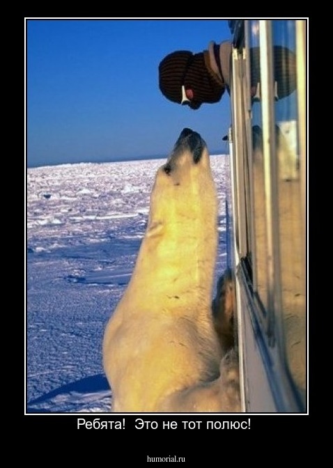 Ребята!  Это не тот полюс! 
