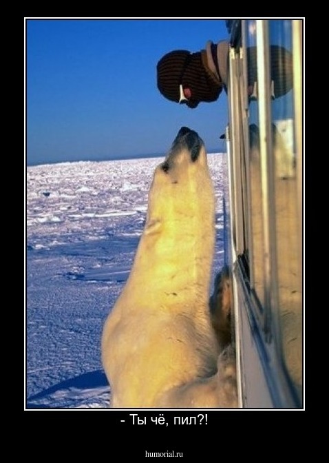 - Ты чё, пил?!