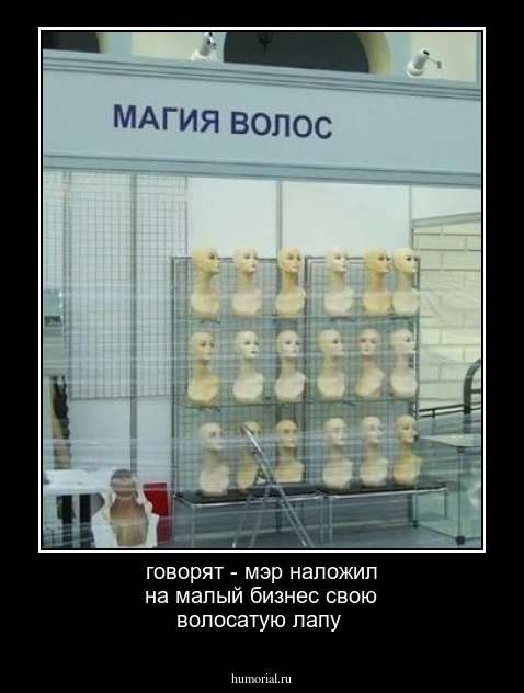 говорят - мэр наложил на малый бизнес свою волосатую лапу