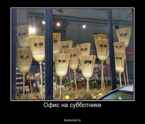 Офис на субботнике