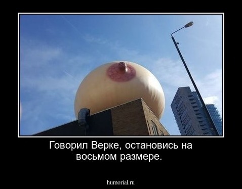 Говорил Верке, остановись на восьмом размере.   