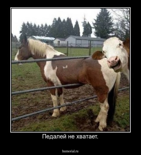 Педалей не хватает.