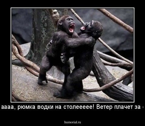 Толькаааааа, рюмка водки на столеееее! Ветер плачет за окнооом!