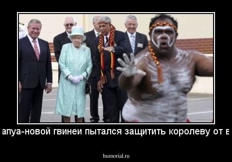 посол папуа-новой гвинеи пытался защитить королеву от вспышек