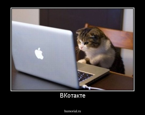 ВКотакте