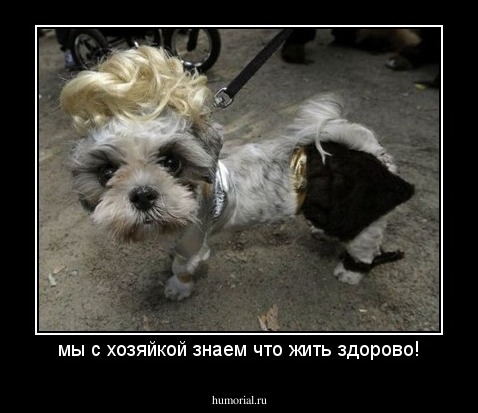 мы с Еленой Малышевой знаем что жить здорово!