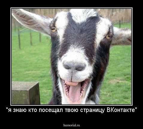 "я знаю кто посещал твою страницу ВКонтакте"