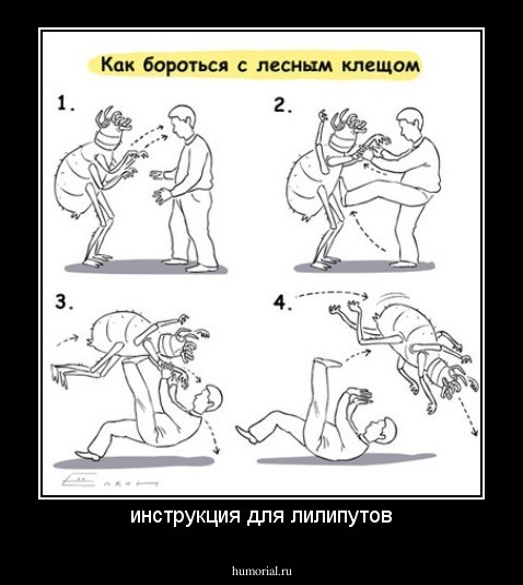 инструкция для лилипутов
