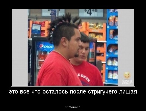 это все что осталось после стригучего лишая