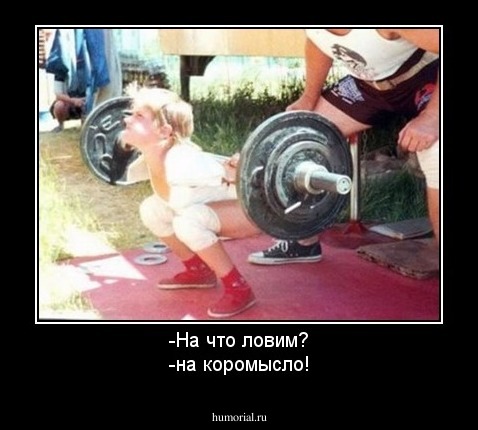-На что ловим?
-на коромысло!