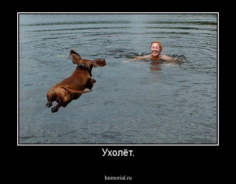 Ухолёт.