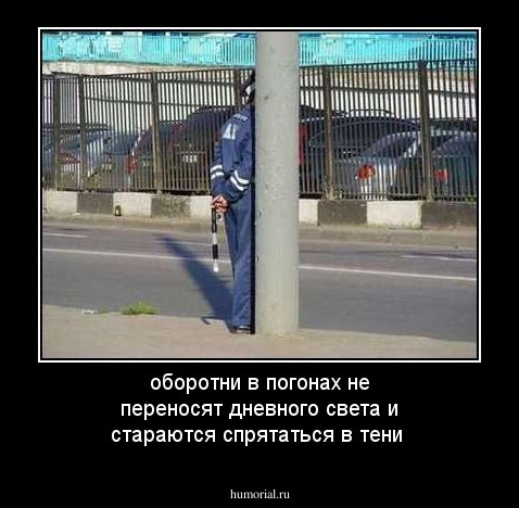 оборотни в погонах не переносят дневного света и стараются спрятаться в тени
