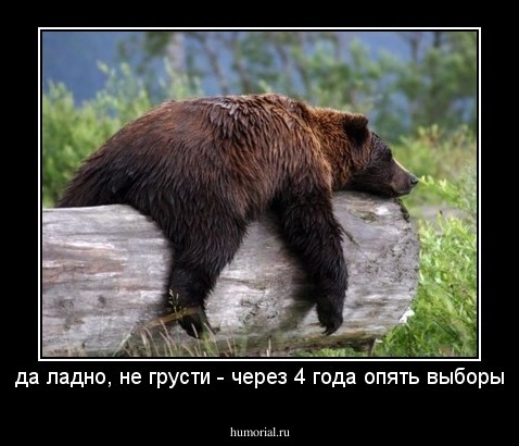 да ладно, не грусти - через 4 года опять выборы