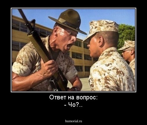 Ответ на вопрос:
- Чо?..
