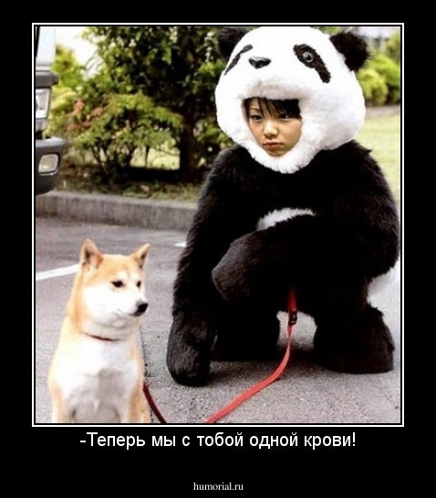 -Теперь мы с тобой одной крови!