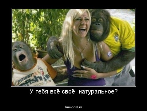 У тебя всё своё, натуральное?