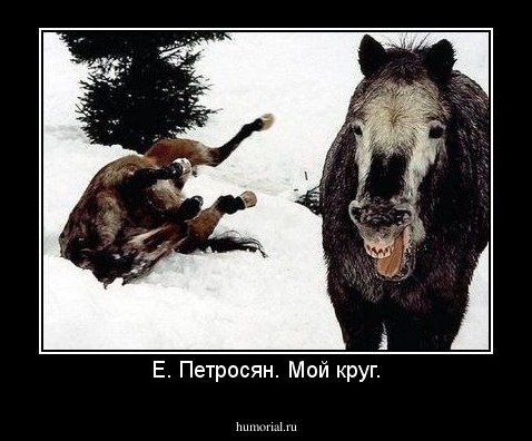 Е. Петросян. Мой круг.
