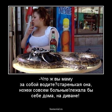 -Что ж вы маму за собой водите?старенькая она,  ножки совсем больные!лежала бы себе дома, на диване!