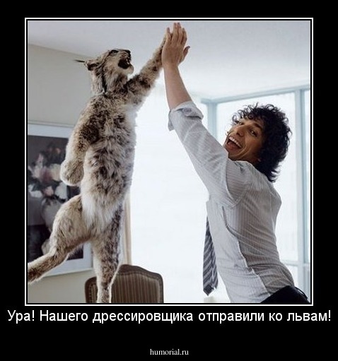Ура! Нашего дрессировщика отправили ко львам!