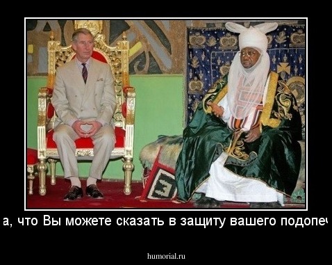 -Арина, что Вы можете сказать в защиту вашего подопечного?