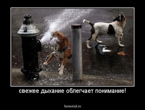 свежее дыхание облегчает понимание!