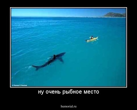 ну очень рыбное место