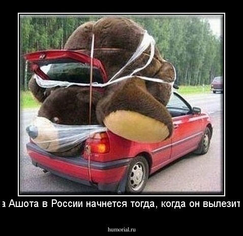 карьера Ашота в России начнется тогда, когда он вылезит из ноги