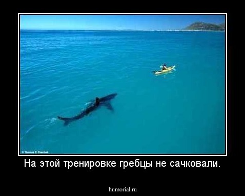 На этой тренировке гребцы не сачковали.
