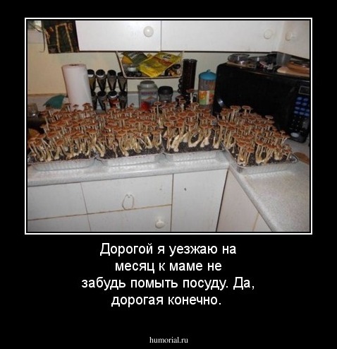 Дорогой я уезжаю на месяц к маме не забудь помыть посуду. Да, дорогая конечно.