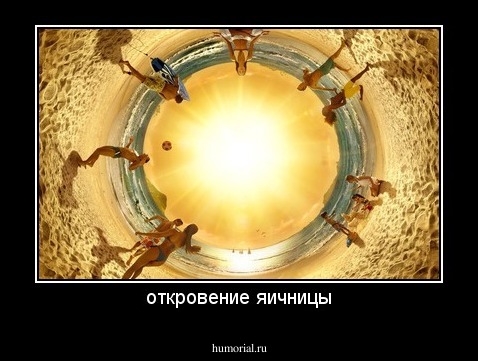откровение яичницы